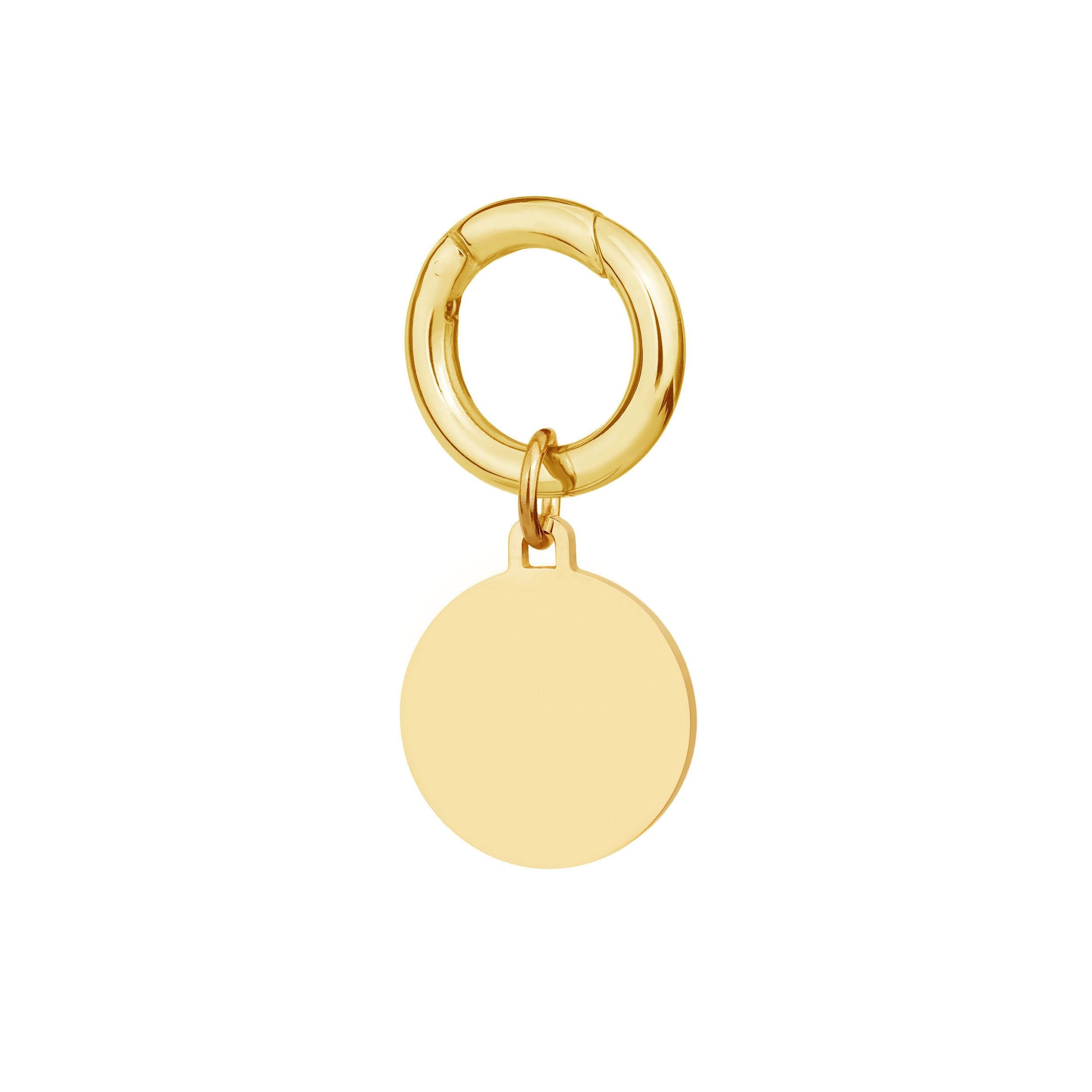 Engraved deluxe small gold disc pet tag