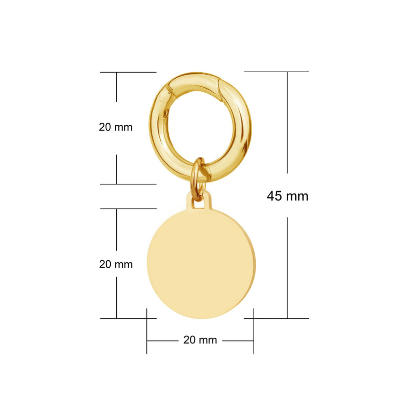 Engraved deluxe small gold disc pet tag dimensions 25 x 55mm