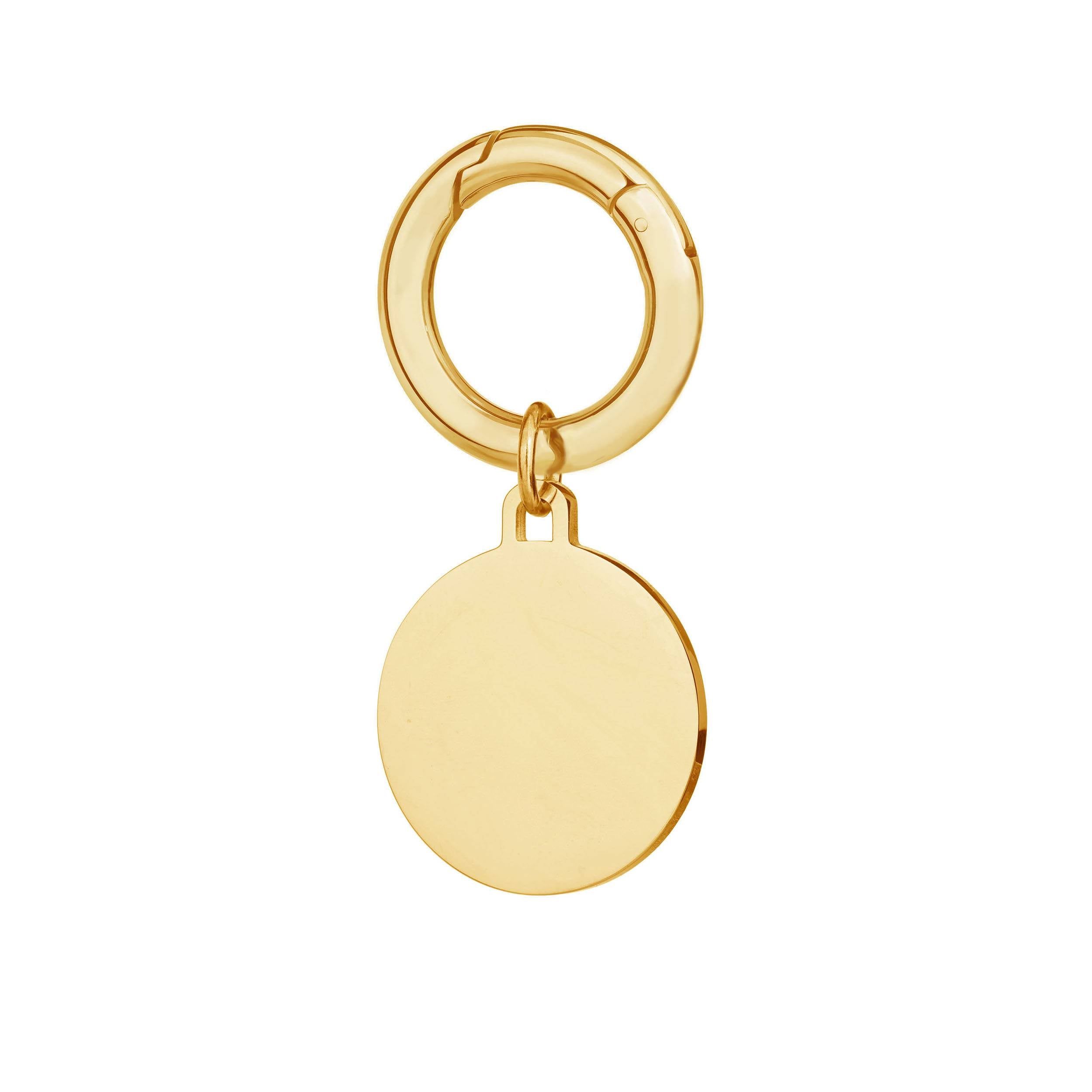 Deluxe Large Gold Disc Pet Tag