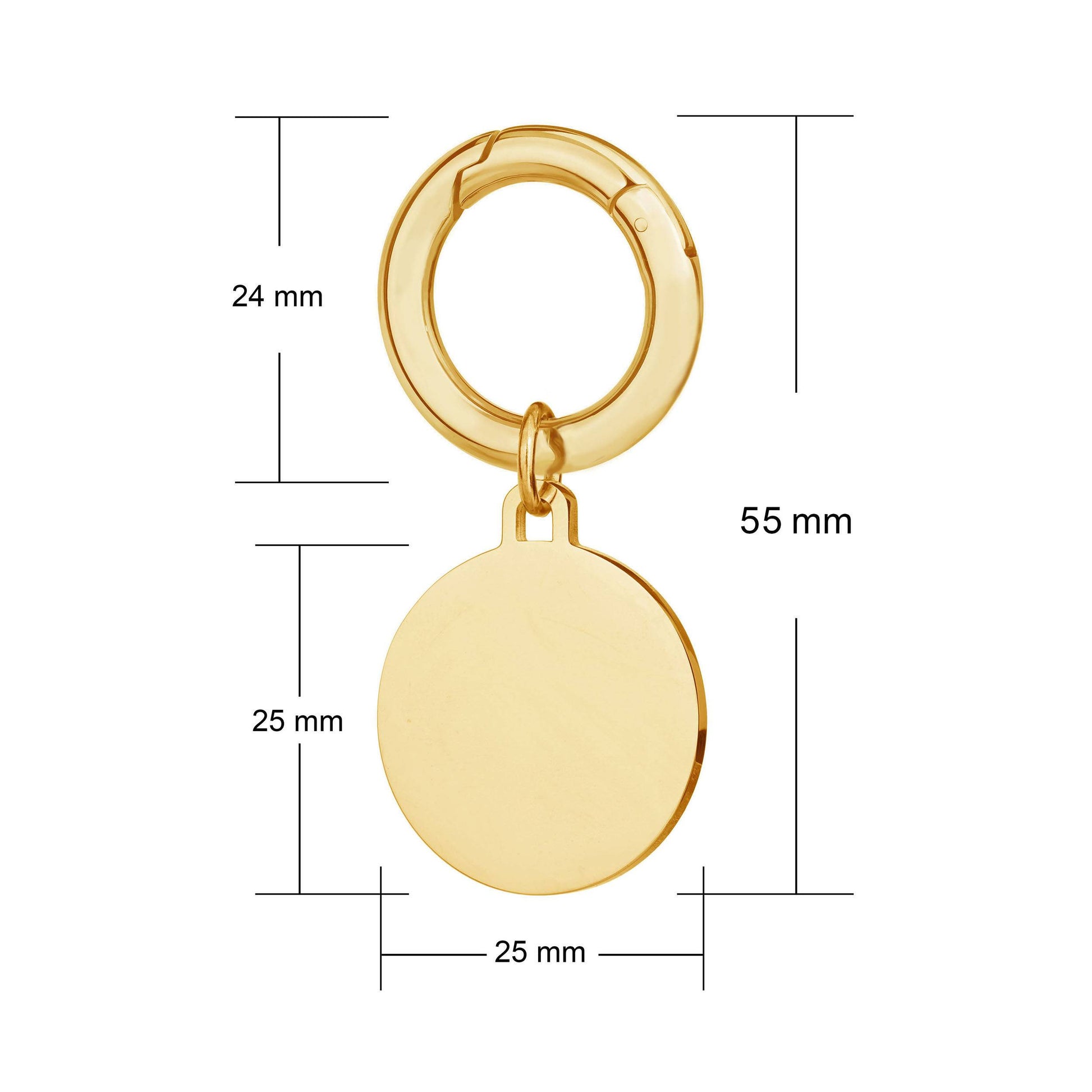 Engraved deluxe large gold disc pet tag side view