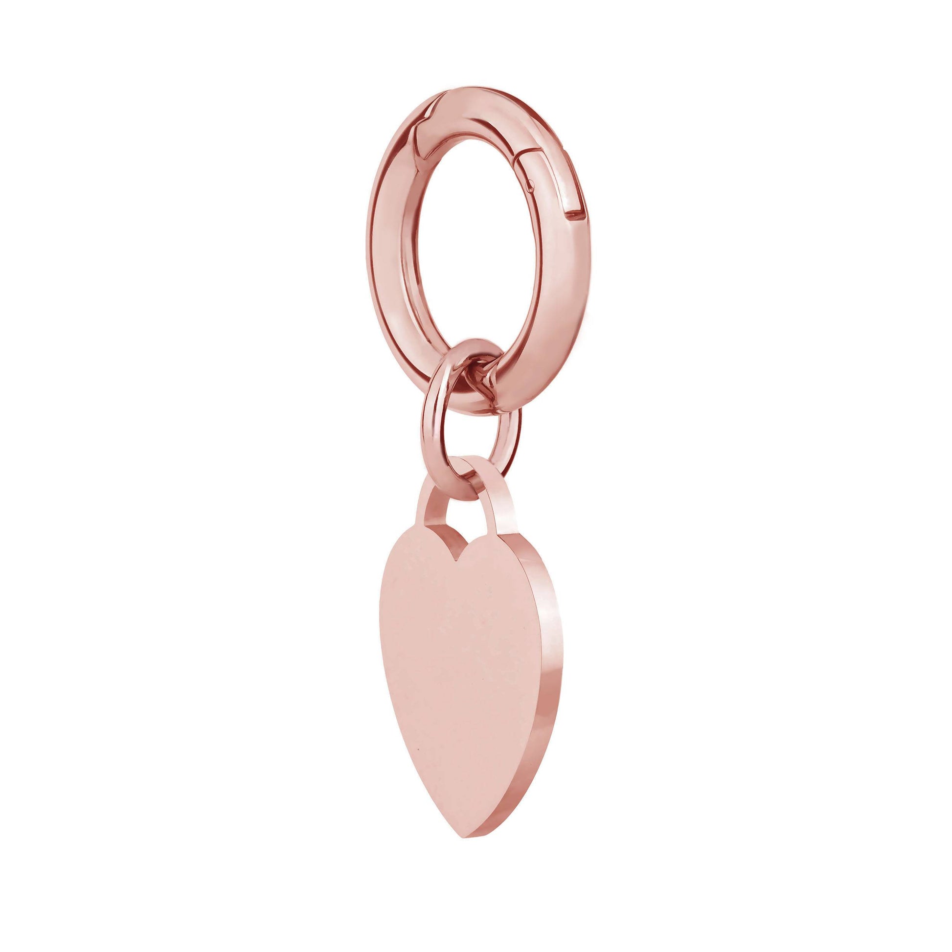 deluxe large rose gold pet tag side view