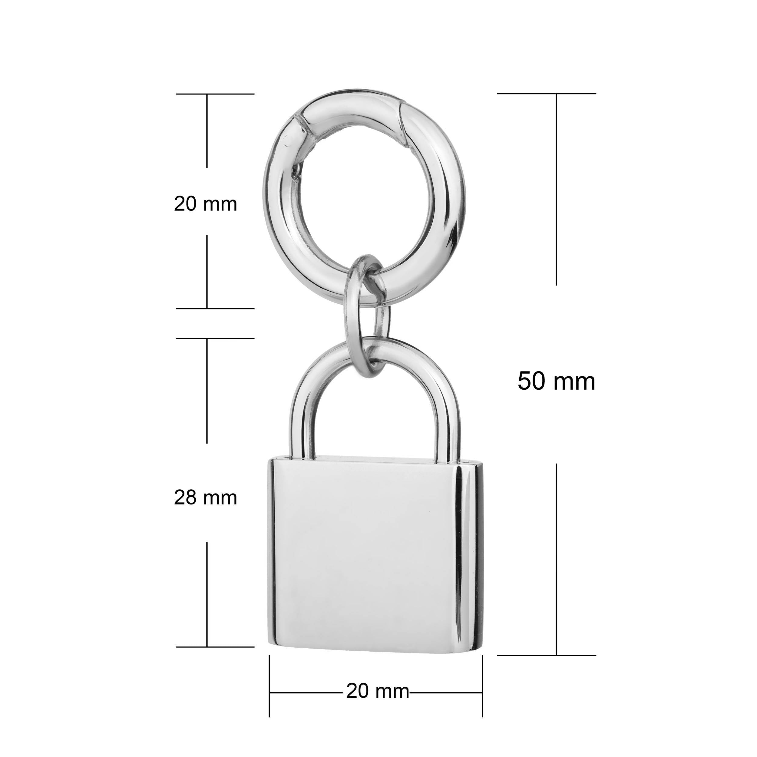 deluxe lock pet tag dimensions