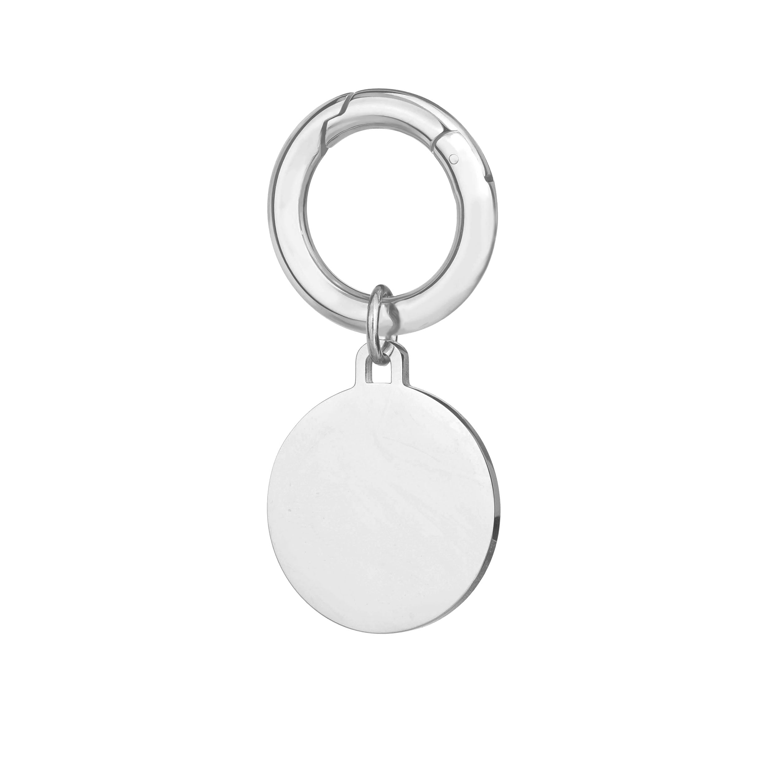 engraved deluxe small disc pet tag