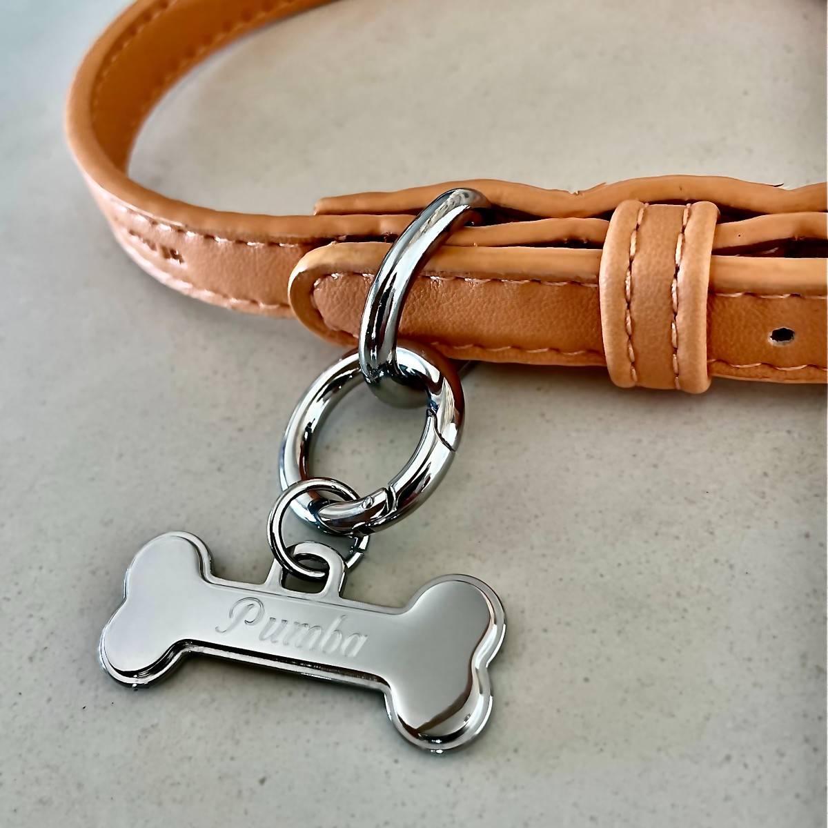 Engraved Dog Dog Bone Shaped Name Tag Deluxe Bone Pet Tag Custom