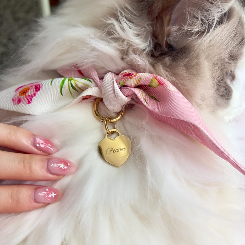 engrave this gold heart pet id tag for cats or small dogs