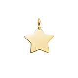 gold star pendant