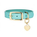 gold pet tag on collar engrave name, address and mobile so your pet can be returned safely