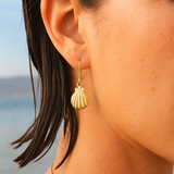 Sea Shell Earrings