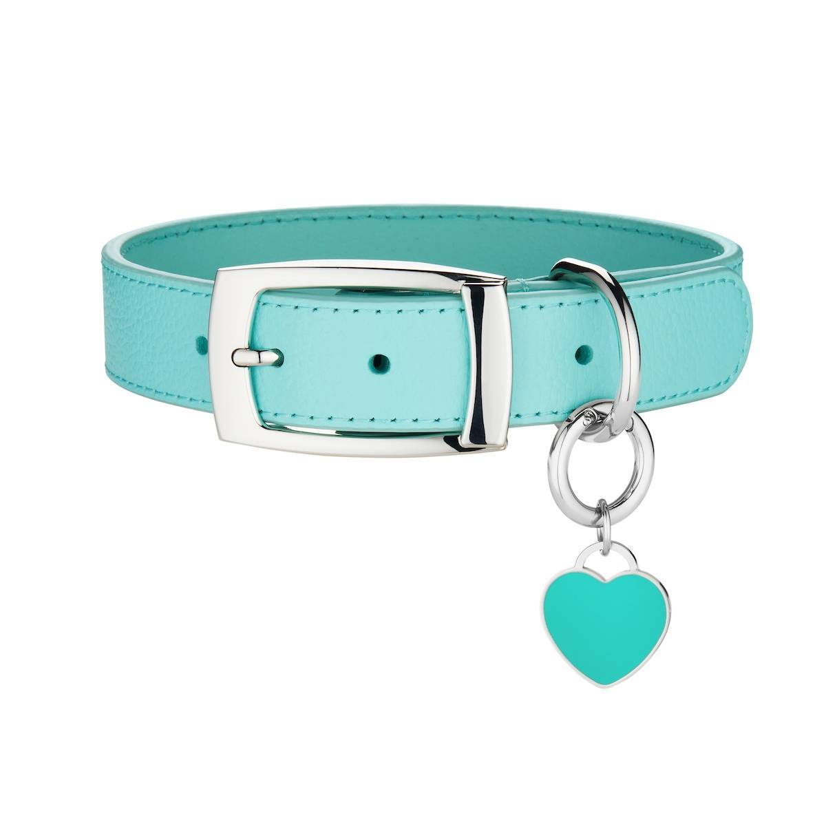 large teal heart pet tag