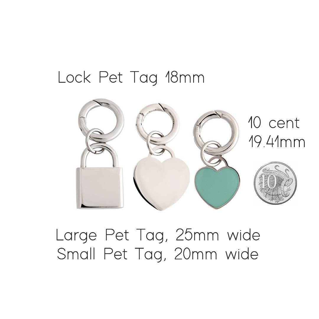 pet id tag size comparison