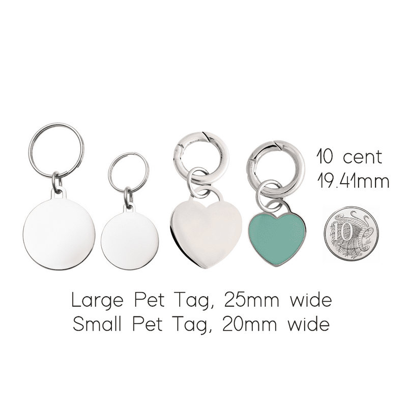 engraved pet tag for comparison