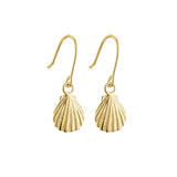 Sea Shell Earrings