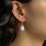 Sea Shell Earrings