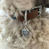 small engraved pet tag