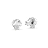 Seashell and Starfish Stud Earrings