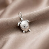 Sterling Silver Charms