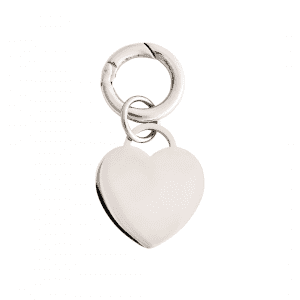 deluxe large heart pet tag