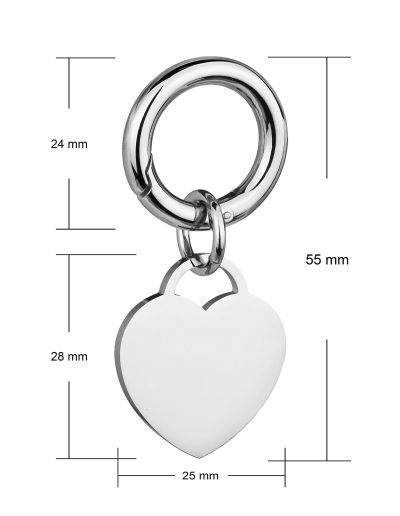 deluxe large pet tag can be engraved with pets details