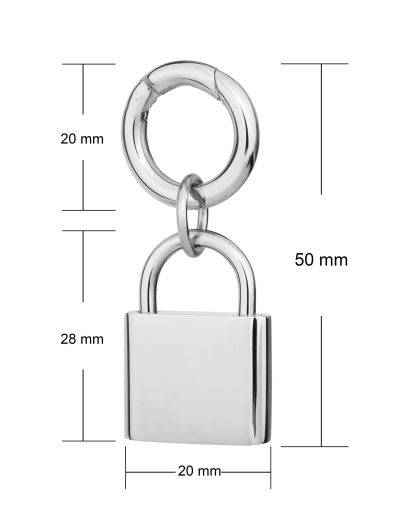 deluxe lock pet tag dimensions