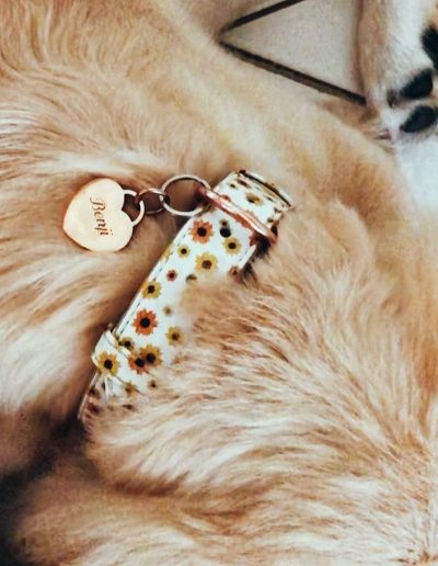 heart pet tag with Benji engraved and mobile number on the reverse