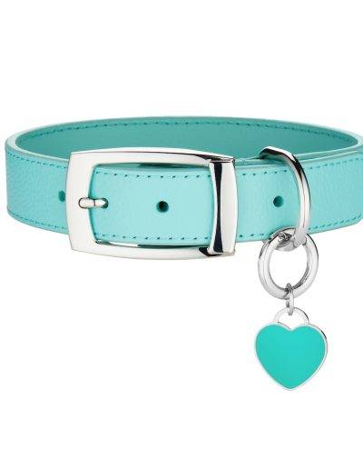 large teal heart pet tag