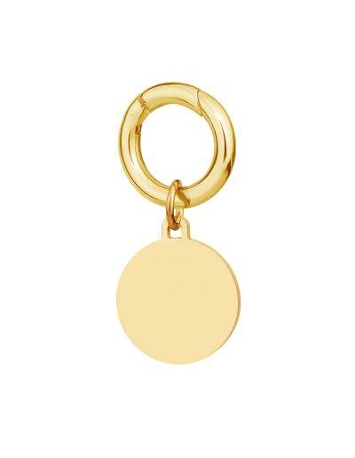 Engraved deluxe small gold disc pet tag