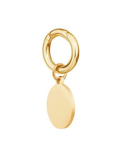 Engraved deluxe small gold disc pet tag side view