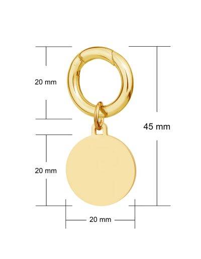 Engraved deluxe small gold disc pet tag dimensions 25 x 55mm
