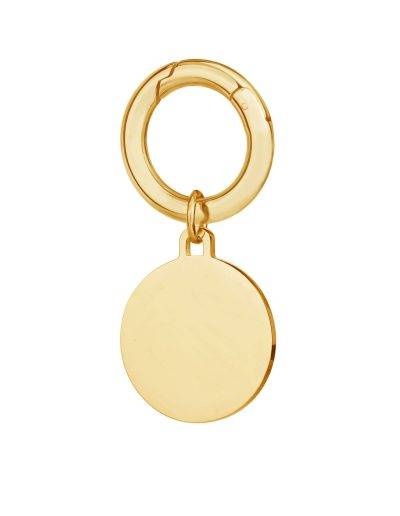 Deluxe Large Gold Disc Pet Tag