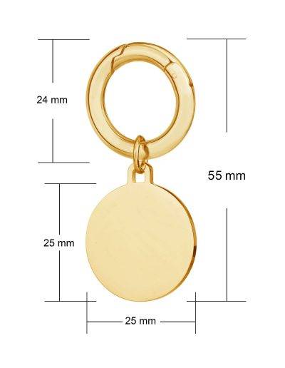 Engraved deluxe large gold disc pet tag side view
